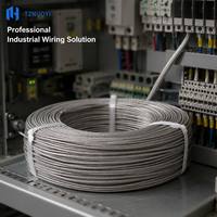 Kabel Ekstensi Sensor PT100 RTD 3 Inti Terlilit, Isolasi PTFE, Pelindung Anyaman Tembaga Berlapis Timah, IP65, Tahan Suhu Tinggi 750V