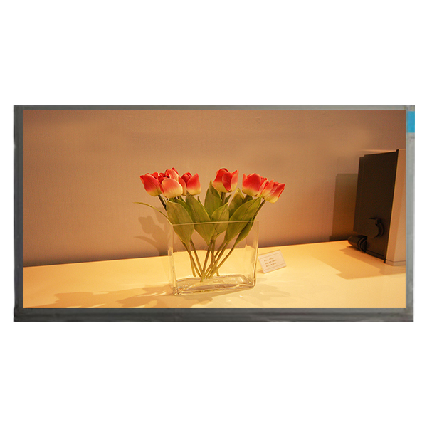 Origfinal 58.0 inch LCD Screen Replacement V580DJ4-Q01 Rev.C4
