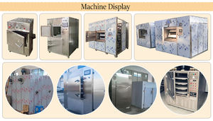 Séchoir sous vide à micro-ondes de type boîte compétitif pour les huîtres de fruits de <span class=keywords><strong>mer</strong></span> Mantis Crevettes Palourdes Conque Pieuvre Jaune Croaker Saumon Dinde - Product Image 6