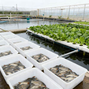 Bassin en plastique LLDPE de 1500 litres pour l'élevage de poissons, durable, de qualité alimentaire, empilable, 2160x1360x630mm, vente en gros - Product Image 6