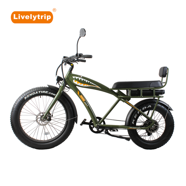 Chopper E-bicyle Vintage Design Electric Fat Bike for Snow Sand User with Double Seat