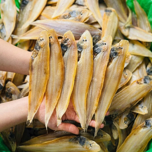 Fabricant de poisson séché vietnamien, export en gros, qualité supérieure, conditionnement sous vide, traitement propre, poisson plat - Product Image 1