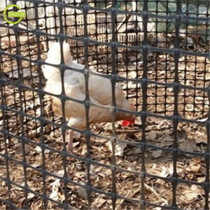 Filet à oiseaux en PP léger et respirant pour jardin - Product Image 6