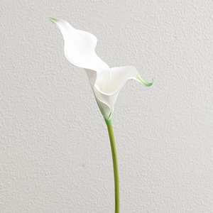 Fleurs artificielles Calla Lily en EVA, fleurs au toucher réel en gros pour les arrangements floraux de mariage, décoration florale - Product Image 3