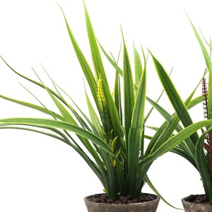Plantas suculentas artificiales verdes <span class=keywords><strong>de</strong></span> estilos para la decoración del jardín del hogar <span class=keywords><strong>boda</strong></span> arreglo <span class=keywords><strong>de</strong></span> la pared <span class=keywords><strong>de</strong></span> plantas - Product Image 6