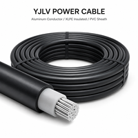 YJLV Low Voltage Aluminum Cable Bare Insulated 1*0.5 mm Class C Flame Retardant IP44 for Building Computer Construction