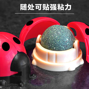 Juguete masticable con forma de mariquita y hierba gatera para gatos, para limpiar los dientes y aliviar las bolas de pelo - Product Image 3