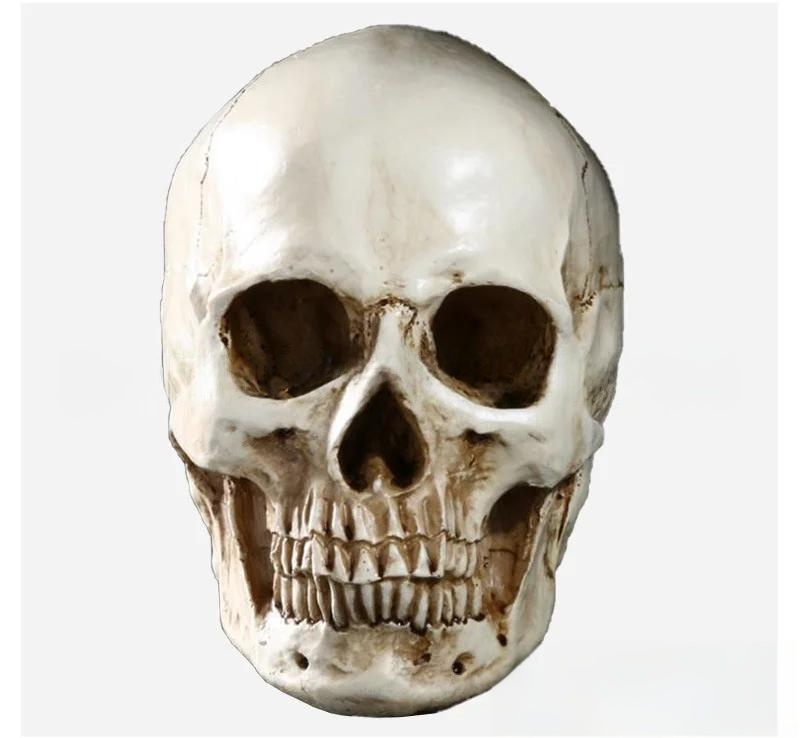Black One-piece head
