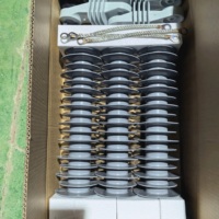 Parafoudre extérieur haute tension 11kV 24kV 33kV 36kV en caoutchouc silicone composite pour systèmes de distribution d'énergie