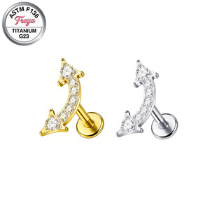 Boucles d'oreilles Freya G23 en titane, clous de tragus à dos plat, labrets, hélix, conch, bijoux de piercing, mode, cœur, flèche, zircon - Product Image 5