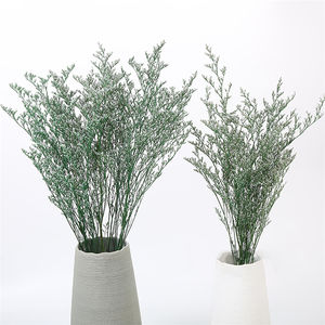 Suspension de fleurs séchées pour carte de remise de diplôme, accessoires de décor, cadeau naturel en lycra, statue préservée, herbe des amoureux, démodis <span class=keywords><strong>gyrans</strong></span> - Product Image 3