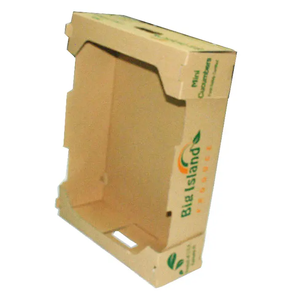 Caja de Cartón para Cultivo de Hongos Frescos con Asa, Caja de Pulpa Reciclable - Product Image 5