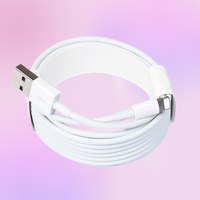 Câble de Données et Charge Rapide USB en Cuivre Pur CE FCC de 3 Mètres (9,84 pi) pour iPhone 5 6 7 8 X 12 13 14 Pro Max Plus et iPad