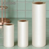 Rouleau de film DTF personnalisé de qualité supérieure 33cm 60cm 100m Double Mat Hot Peel Film PET pour transfert thermique pour impressions textiles
