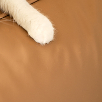 Fauteuil moderne en forme de chat Pouf de salon Diable Sac d'haricot Canapé Sitzsack Pouf Pouf impérial Pouf de pouf