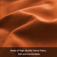 Housse de coussin en velours double face de haute qualité pour l'automne, housse de coussin décorative, housse de coussin orange rouille