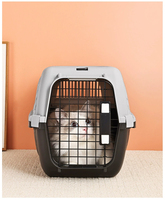 Cage de transport pour animaux de compagnie en acier, économique, avec fenêtre, en plastique, pour chat et chien, boîte de transport pour animaux