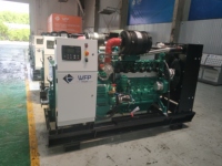 Erdgas- und Biogas-Generator mit Wasserkühlung und 24V DC Elektrostart Erdgas-Generator