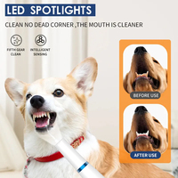 Nettoyeur dentaire ultrasonique portable pour chiens, blanchiment des dents, appareil dentaire pour animaux de compagnie, éliminateur de tartre
