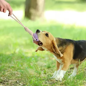 Sunray Mascota 2024 Nova Chegada Dentes limpos interativo pet bola de tênis Rbubber mastigar brinquedo cão rebocador corda brinquedo do cão