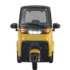 Tricycle électrique Yunlong EEC L2e E-Cabin-H1 avec moteur 1,5 kW, batterie au plomb-acide 60 V 58 Ah, 2 places, porte arrière ouvrable, autonomie maximale de <span class=keywords><strong>80</strong></span> km - Product Image 4
