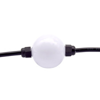 Luz LED de Punto de Píxel RGB RGBW Direccionable de 50 mm de Diámetro, IP68, UCS1903, UCS2904, UCS8904, Lámpara de Globo LED para Decoración de Exteriores