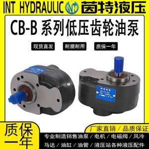 ปั๊มไฮดรอลิกเกียร์รุ่น CB-B6 250 บาร์ 1 สเตจ ตัวเรือนเหล็กหล่อ สำหรับใช้งานในอุตสาหกรรม - Product Image 5
