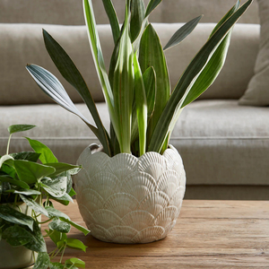 <span class=keywords><strong>Pot</strong></span> de jardin créatif en céramique en forme de coquille, <span class=keywords><strong>pot</strong></span> à bougie vide, vente en gros, prêt à l'emploi en usine, MOQ, ODM, non toxique, écologique, produit phare, pour intérieur - Product Image 3