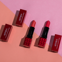 Rouge à lèvres mat personnalisé, Logo de marque, privé pour 12 couleurs, maquillage pour les lèvres OEM