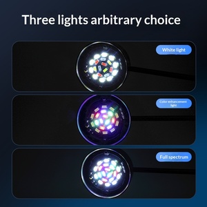 <span class=keywords><strong>Éclairage</strong></span> <span class=keywords><strong>LED</strong></span> à spectre complet pour <span class=keywords><strong>aquarium</strong></span>, USB, anti-<span class=keywords><strong>algues</strong></span>, pour plantes aquatiques, idéal pour les aquariums de rivières naturelles - Product Image 3
