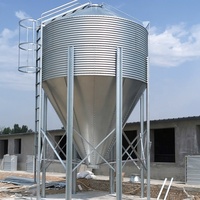 Fornitura Professionale di Silos in Acciaio Zincato per Mangimifici con Grande Capacità di Stoccaggio