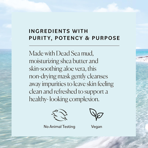 Mascarilla <span class=keywords><strong>de</strong></span> barro del Mar Muerto orgánica natural OEM ODM para la cara mascarilla <span class=keywords><strong>de</strong></span> limpieza profunda con manteca <span class=keywords><strong>de</strong></span> karité mascarilla <span class=keywords><strong>de</strong></span> <span class=keywords><strong>arcilla</strong></span> <span class=keywords><strong>de</strong></span> barro <span class=keywords><strong>de</strong></span> limpieza <span class=keywords><strong>de</strong></span> aloe - Product Image 5