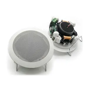 OEM Factory Speaker Subwoofer 5.25 Inci, Speaker Utama Aktif BT 20W-30W Mode Sistem Suara Koaksial Speaker Langit-langit