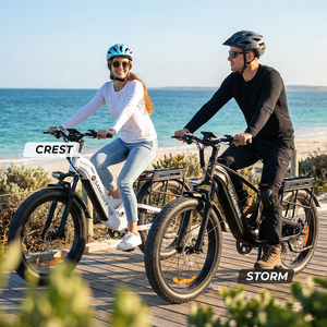 Bicicleta Eléctrica de 48V 20Ah 250D con Llantas Gruesas, Frenos de Disco Hidráulicos, Portaequipajes Trasero y Suspensión para Viajes Urbanos, 26 Pulgadas, Aluminio, Disponible en Almacén de Australia - Product Image 2
