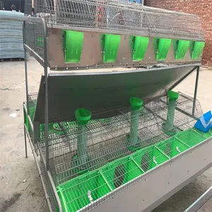 Cages de batterie d'oeufs d'élevage de volailles de conception différente prix de vente pour la mère et le fils une cage de lapin de poulet de couche de type