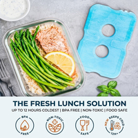 Blocs de glace pour boîtes à lunch et glacières, blocs réfrigérants originaux, accessoires pour glacières pour la plage, le camping et la pêche