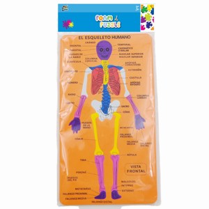 Rompecabezas de estructura de cuerpo humano <span class=keywords><strong>EVA</strong></span> al por mayor rompecabezas cognitivo <span class=keywords><strong>esqueleto</strong></span> Impresión de doble cara juguetes educativos para niños - Product Image 2
