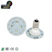 Livraison rapide IP65 E14 rond 40mm AC24V lumière LED SMD de couleur unique pour les manèges