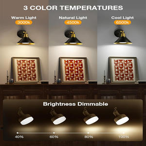 <span class=keywords><strong>Ampoule</strong></span> LED rechargeable 4000 mAh, culot E27 avec télécommande, 3 températures de couleur et 4 niveaux de luminosité, lampe d'urgence alimentée par batterie pour le camping - Product Image 2