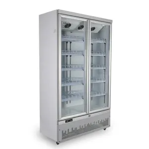 Commercial Supermarket Two Door Vertical Beverage Display Cooler Chiller Cabinet Freezer
