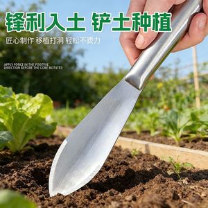 พลั่วทำสวนสแตนเลสแบบหนาชิ้นเดียวสำหรับปลูกขุดและย้ายต้นกล้า - Product Image 4