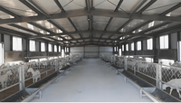 Estructura de Acero para Gallineros, Naves Avícolas, Cobertizos Agrícolas, Edificios Prefabricados para Aves de Corral, Almacenes, Soldadura y Corte