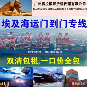 Transport maritime de la Chine vers l'Égypte, service express LCL porte-à-porte, Alexandrie, Cairo, DDP, solution tout-en-un - Product Image 2