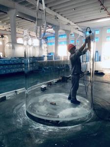 2025 Aquariumvissen Te Koop - Product Image 3