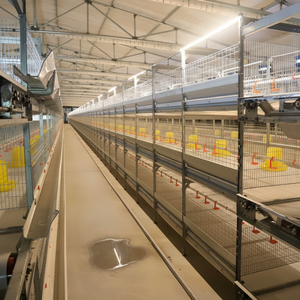 Nouvelle serre de type H multi-couches, translucide, à ventilation optimisée, pour l'élevage de poulets, confortable et facile à utiliser - Product Image 1