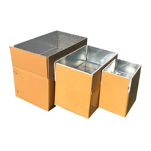 Scatole per il trasporto di imballaggi termici isolati personalizzati consegna di alimenti surgelati foderati in foglio di alluminio espanso con Logo