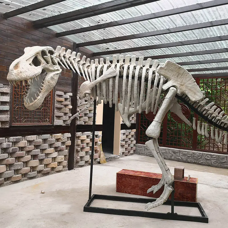 Simulation de squelette de dinosaure, aluminium, taille originale de musette standard, à vendre