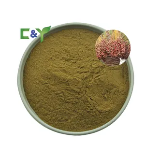 ISO Factory fast delivery date palm extract powder date palm seed powder date palm extract