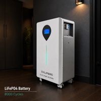 Système d'énergie solaire à batterie au lithium LiFePO4 certifié CE 51,2 V 16 kWh 30 kWh, alimentation de secours domestique