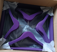 Heavy Duty Luxury Brand Suit Purple Hotel Anti Theft Velvet Flocado Perchas con anillo antirrobo